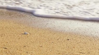 Sinematik beyaz deniz dalgalarıyla Hawaii 'nin inanılmaz kıyı şeridi. Altın kumsal manzarası ve su yüzeyi dokusu, köpüklü dalgalar. Yavaş çekim, tropikal plaj, altın ışık, kırmızı görüntü.