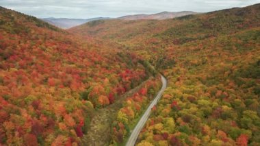Hava yolculuğu geçmişi, Vermont. Bulutlu sonbahar gününde, dağ yolunda uçan drone 'lar güzel, canlı, renkli ormanlarla çevrilidir. Ormanlık tepelerde manzara sarısı, kırmızı, turuncu sonbahar yaprakları
