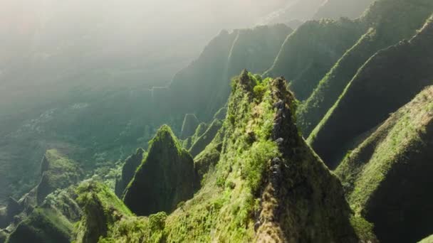 Bedøvelse Hawaii Natur Kauai Haven Magisk Grøn Bjerghøjderyg Epic Grønne – Stock-video