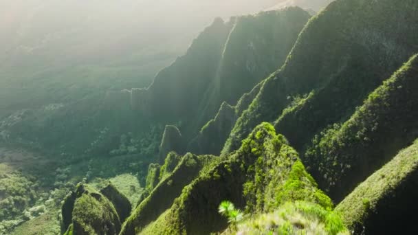 魔法の緑の山の尾根 急な緑の崖の日当たりの良い風景に輝く黄金の太陽の光線 カウアイ島の息をのむようなハワイの自然 テキスト空間の背景を持つ壮大な緑の高い鋭いピーク — ストック動画