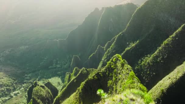 Magisch Grüne Bergrücken Goldene Sonnenstrahlen Auf Steilen Grünen Klippen Sonnige — Stockvideo