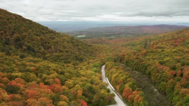 Drone Volando Por Encima Carretera Montaña Rodeado Hermoso Vibrante Bosque — Vídeos de Stock