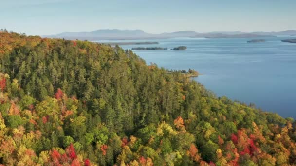 Cinematic Moosehead Lago Foresta Autunnale Maine Paesaggio Con Acqua Cristallina — Video Stock