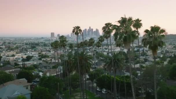 Drone Latający Między Wysokimi Zielonymi Palmami Kierunku Epickiego Los Angeles — Wideo stockowe