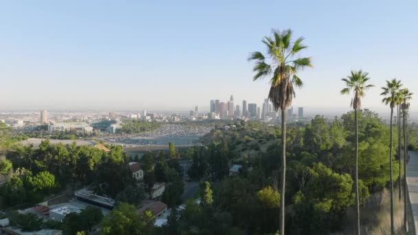 캘리포니아주의 로스앤젤레스 시내의 아름답고 경치가 아름다운 초록빛 야자나무 미국의 — 비디오