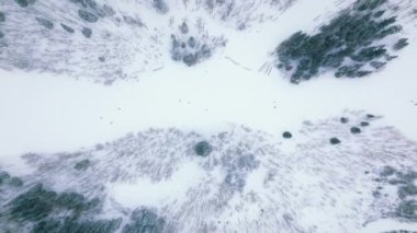 Kayak, snowboard, Aspen, Colorado, ABD 'deki dağ otelinin insansız hava aracı görüntüleri. Snowmass köyündeki bir kış tesisinde yaşayan insanların büyüleyici manzarası. Yüksek kalite 4k görüntü