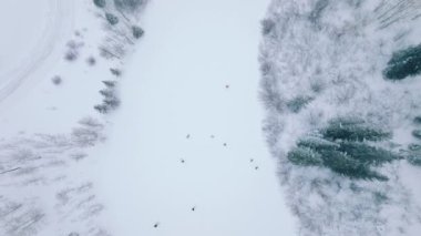 İnsanlar yukarıdan görüldüğü gibi kayak ve snowboard sporlarının keyfini çıkarıyorlar. Köknar ormanı ve eğlence merkezi olan karlı kayak pistinin insansız hava aracı görüntüleri. Yüksek kalite 4k görüntü