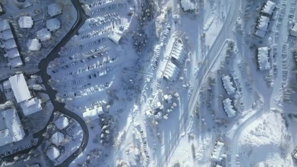 Winter Wonderland Conifer Trees Charming Cottages Drone Footage Popular Ski — Stock Video
