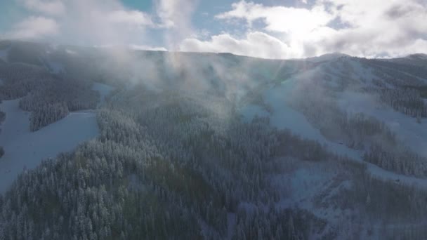 山と高山の風景のパノラマ 白い霜の雪で覆われています 曇り空の下でモミの森と美しいリモート荒野のドローン映像 高品質4K映像 — ストック動画