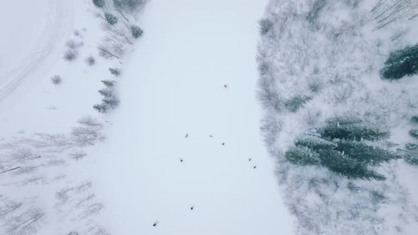 Pessoas Que Apreciam Atividade Inverno Esqui Snowboard Como Visto Cima — Vídeo de Stock