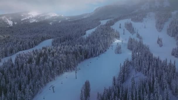 Nagranie Dronów Pięknej Odległej Dziczy Jodłowym Lasem Pod Pochmurnym Niebem — Wideo stockowe