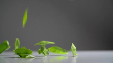 Mikroyeşil yapraklar mutfaktaki masaya düşüyor. Salata malzemesi olarak sulu renkli taze yeşillik. Yüksek kaliteli FullHD görüntüler
