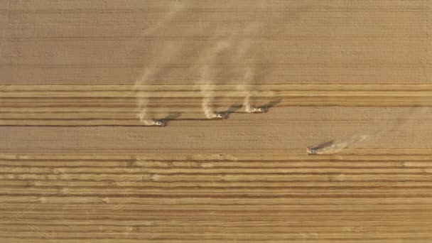 Maszyny Zbiorów Działające Ogromnym Gospodarstwie Rolnym Nagranie Dronów Maszyn Działających — Wideo stockowe