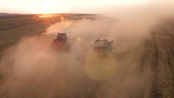 Letecké Záběry Krásného Západu Slunce Zemědělské Krajině Sklizeň Pomocí Kombinátorů — Stock video
