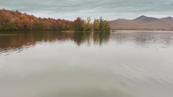 Vista Aérea Árvores Folhagem Coloridas Pequena Ilha Meio Lago Cinematográfico — Vídeo de Stock