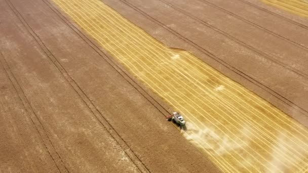 Вид Воздуха Отделяющий Рисовое Зерно Остального Обрезанного Урожая Доходность Пределах — стоковое видео
