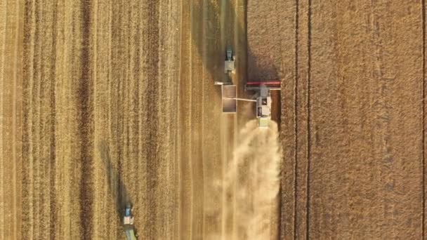 日の出の間の収穫時間に収量収集 作物を収穫する農業機械の空中映像 高品質4K映像 — ストック動画