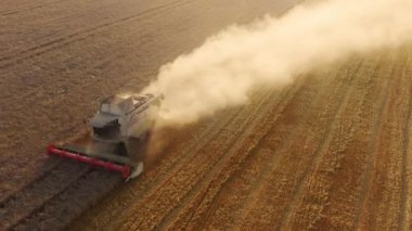Devasa buğday tarlaları ve kombinatörlerin uzaktan kumandalı görüntüleri. Yukarıdan görüldüğü gibi ürün toplayıp topluyorlar. Yüksek kalite 4k görüntü