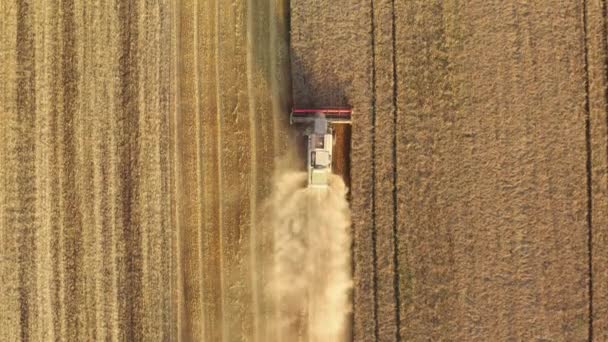 Aerial View Combiner Field Yield Gathering Harvest Time Sunrise High — Stock Video