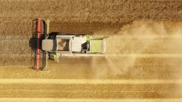 Campagne Agricole Avec Rendement Collecte Tracteur Drone Une Combinaison Coupant — Video