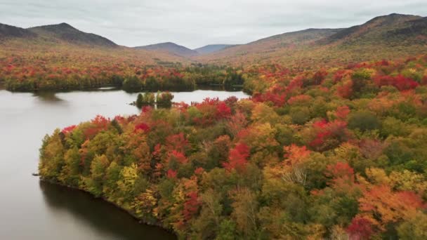 Piękny Jesienny Krajobraz Przyrody Leśnych Wzgórz Zachmurzonym Tle Jesiennego Dnia — Wideo stockowe