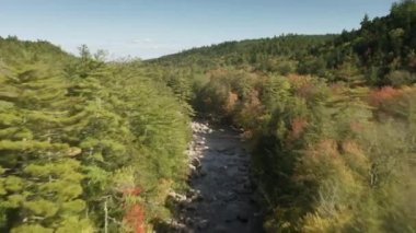 Doğanın nehri, sonbahar ormanında güneşli bir sonbahar gününde küçük bir dere. İnsansız hava aracı yeşil ladin ağaçlarının arasında alçaktan uçuyor ve manzaralı dağ manzarası var. New Hampshire Park 4K 'da açık hava macerası