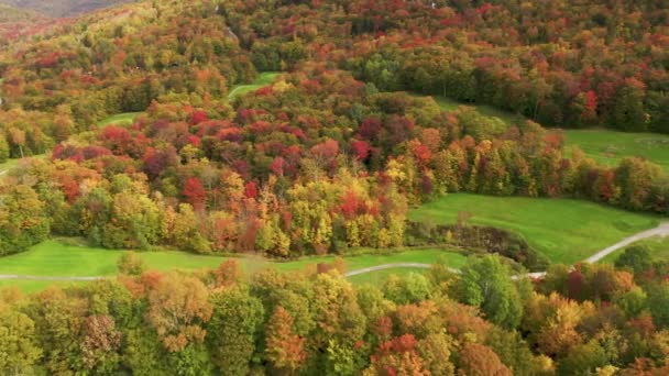 Golfplatz Killington Mountain Resort Mit Filmisch Lebendigen Herbst Laub Waldlandschaft — Stockvideo