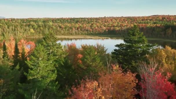 Αντανάκλαση Δάσους Παγωμένο Νερό Κινηματογραφική Λίμνη Στο Μέιν Της Πολιτείας — Αρχείο Βίντεο