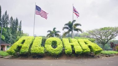 ALOHA yaz tatili, rüya gezisi, macera konsepti. Fotokopi alanı olan seyahat ve turizm arka planı. Büyük yeşil işaret ALOHA Hawaii diline hoş geldiniz demek. Hawaii adasındaki yeşil doğa parkı