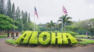 Hawaii adasındaki yeşil açık hava parkı. Yaz tatili, rüya gezisi, açık hava macera konsepti. Fotokopi alanı olan seyahat ve turizm arka planı. Büyük yeşil işaret ALOHA Hawaii diline hoş geldiniz demek.
