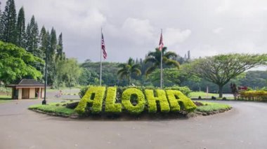 Büyük yeşil işaret ALOHA Hawaii diline hoş geldiniz demek. Hawaii adasındaki yeşil açık hava parkı. Yaz tatili, rüya gezisi, açık hava macera konsepti. Kopya alanı olan seyahat ve turizm arkaplanı