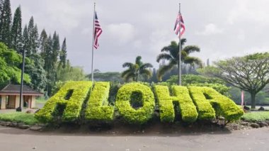 Kopya alanı olan ALOHA seyahat ve turizm arka planı. Büyük yeşil işaret ALOHA Hawaii diline hoş geldiniz demek. Hawaii adasındaki yeşil açık hava parkı. Yaz tatili, rüya gezisi, macera konsepti