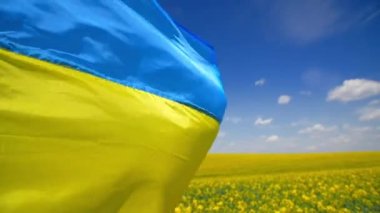 Sarı arka planda mavi gökyüzünde Ukrayna ulusal bayrağı dalgalanıyor. Kapatın. Bağımsızlık ülkesinin bir sembolü olarak Ukrayna ulusal bayrağı. Yüksek kaliteli FullHD görüntüler