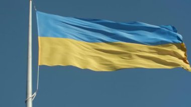 Mavi gökyüzünde bayrak direğinde Ukrayna bayrağı sallıyor. Yüksek kalite 4K görüntü. Ukrayna birliğinin ve bağımsızlığının sembolü. Mavi ve sarı Ukrayna bayrağı mavi gökyüzünün arka planında dalgalanıyor.