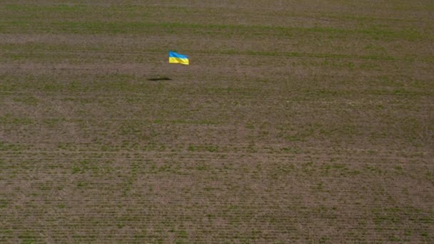 作为和平与团结的象征 乌克兰国旗在春天的田野背景上飘扬 高质量的4K镜头 — 图库视频影像