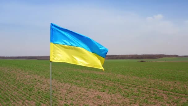 旗杆上的蓝色和黄色乌克兰国旗是胜利的标志 国旗在天空和田野的背景上飘扬 高质量的4K镜头 — 图库视频影像
