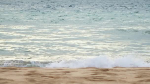 金砂と素晴らしい海の水のテクスチャ 夏の夕日の海 美しい自然の純粋なきれいなハワイのビーチ 美しい海の波レッドスローモーション 太平洋上の映画黄金の夕日ビーチ — ストック動画