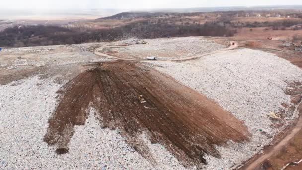 Pidhirtsi Kiev Oblastı Ukrayna Dozer Katı Atıkları Gömerken Martılar Büyük — Stok video