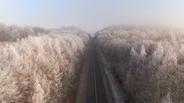 ウクライナのキエフ 鬱蒼とした森の中の直線道路の空中映像 車の冬の道路に沿って運転 高品質4K映像 — ストック動画