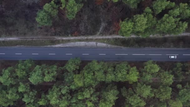 Kyjev Ukrajina Letecký Pohled Dálnici Podél Hustého Lesa Vozidla Jedoucí — Stock video