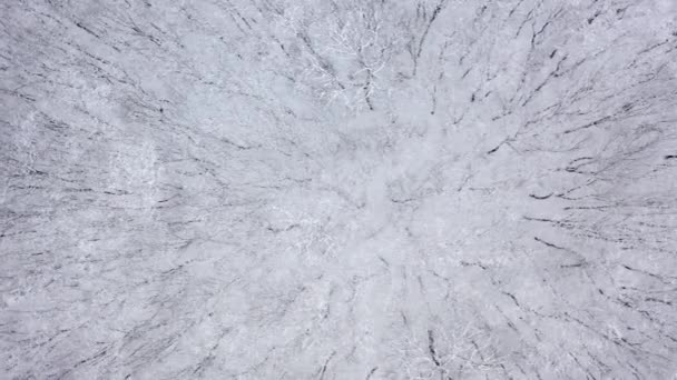 Πάνω Προς Κάτω Drone Shot Του Αρκτικού Τοπίου Χειμωνιάτικο Συννεφιασμένο — Αρχείο Βίντεο