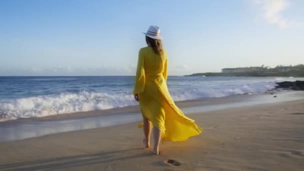 夕阳西下的轮廓女性看到海浪在沙滩上冲撞并喷出浪花 正面的情感概念 生活中的快乐 日落时分环游世界 慢动作女人 — 图库视频影像