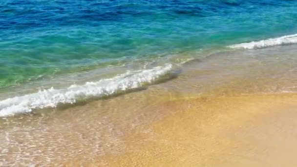 Медленно Движущиеся Блестящие Волны Катятся Песчаному Пляжу Солнечном Свете Кинематографические — стоковое видео