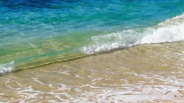 Szcenírozott Gyönyörű Természetes Tiszta Hawaii Strand Gyönyörű Tengeri Hullámok Red — Stock videók