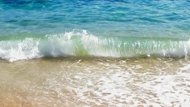 Top View Beautiful Tropical Beach Slow Motion Footage Amazing Sandy — Stock Video