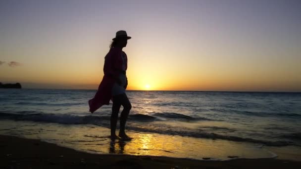 Όμορφη Γυναικεία Σιλουέτα Χαλαρώνοντας Στην Τροπική Παραλία Του Ωκεανού Στο — Αρχείο Βίντεο