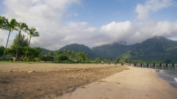 Panoramiczny Materiał Filmowy Widokiem Hawajski Krajobraz Plaży Hanalei Sceniczny Film — Wideo stockowe