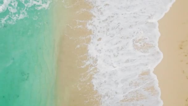 Aerial Top Shot Woman Walking Beach Sunny Summer Day Healthy — Vídeo de Stock