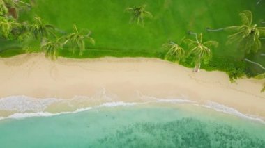 Sabahın erken saatlerinde boş cennet kumsalının sinematik hava manzarası. Ticari arka plan için fotokopi alanı ile yaz tatili çekimleri. Hawaii adası seyahat kavramı şeffaf mavi deniz dalgalarıyla