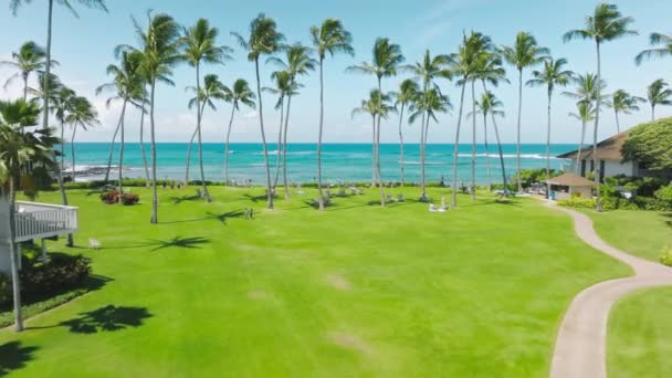 电影空中无人驾驶飞机在海滨度假胜地上空和绿色棕榈树花园之间飞行 夏日阳光明媚的热带自然景观 绿树成荫 碧绿翠绿的大海 — 图库视频影像